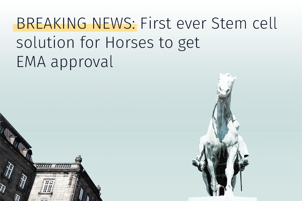 EMA approval first stem cell solution for Horses