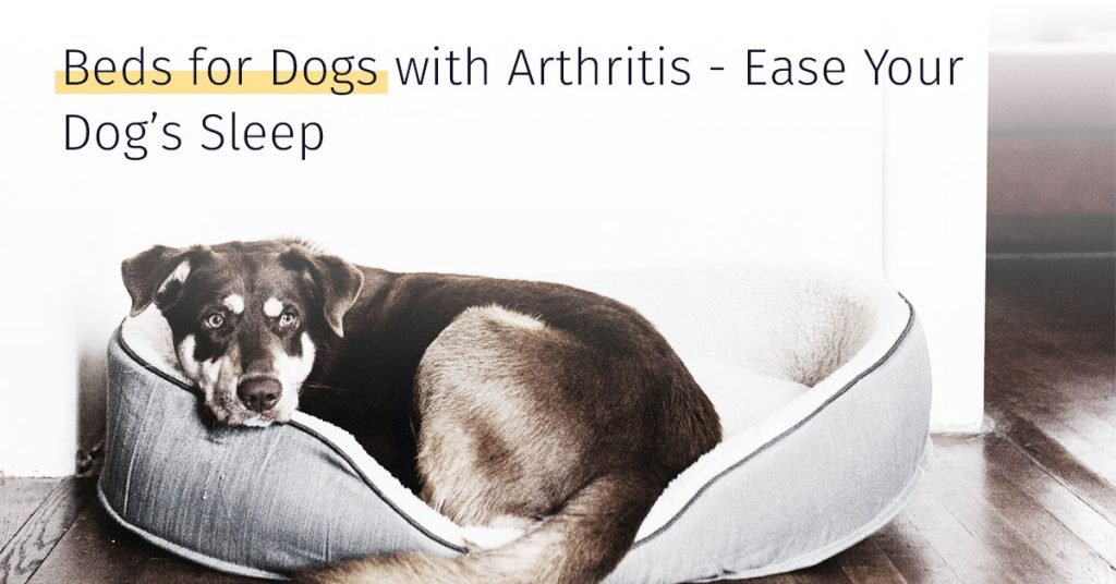 medrego, stem cell therapy, beds for dogs with arthritis, ease your dogs sleep, canine arthritis treatment