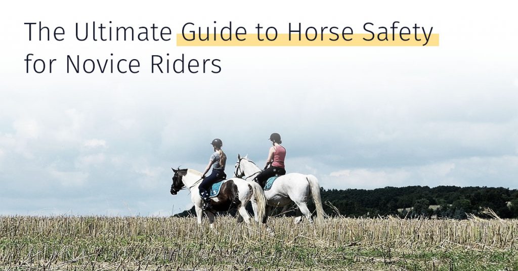 Guide to Horse Safety for Novice Riders, medrego, stem cell treatment, equicell
