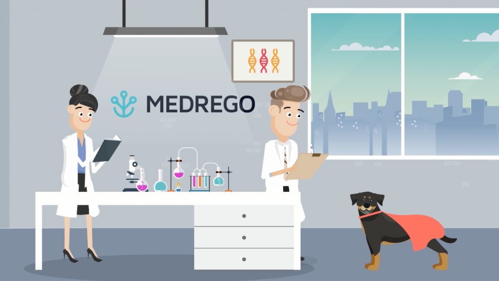 Medrego CaniCell dog arthritis treatment