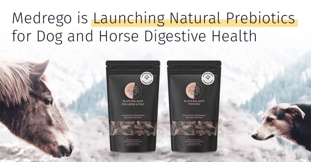 natural prebiotics for dog horse digestive health