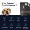 Black Balance by Medrego prebiotics for dogs