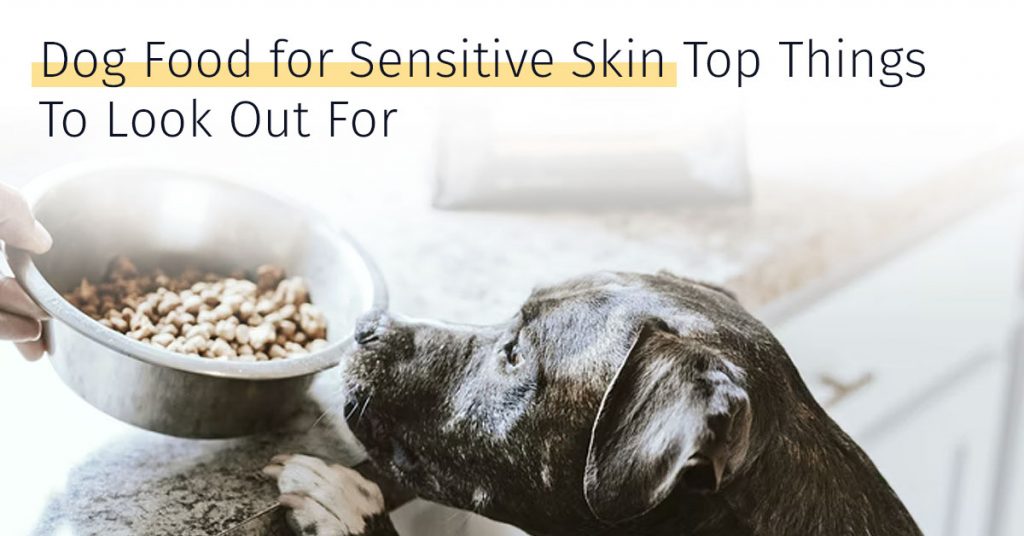 dog food for sensitive skin